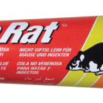 0000420 no rat